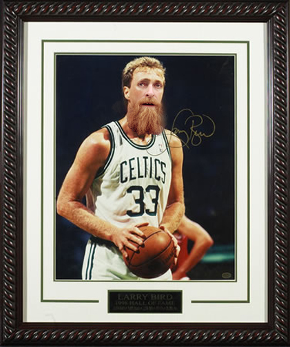 bradley bird